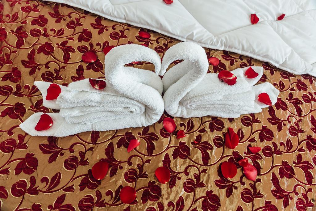Hotel Azzurro แฮร์เซ็ก-โนวี ภายนอก รูปภาพ
